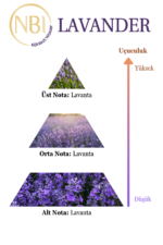 NBI Lavander Kolonya Cam 80° 210 ml - Özel Tasarım Kutulu & Hediyeli - Görsel 5